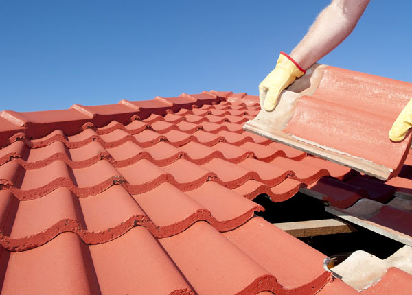 About Spicer Roofs